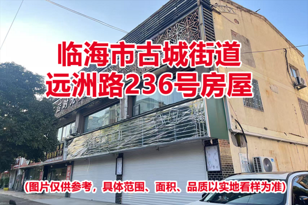 临海市古城街道远洲路236号房屋的租赁权